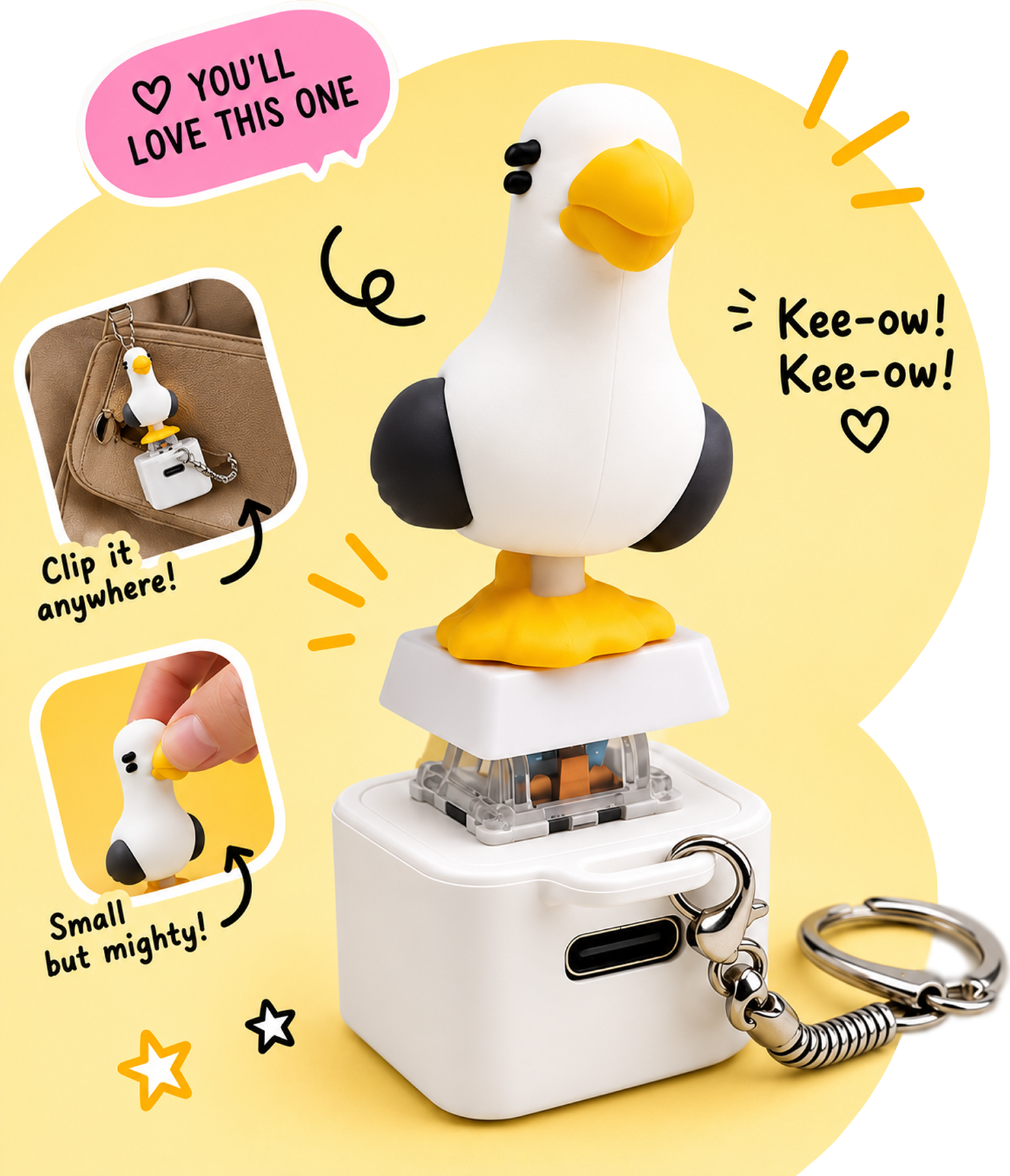 Meet Seagull